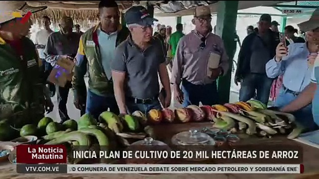 Plan de cultivo entregó en el edo. Apure semillas a productores de arroz para el impulso económico