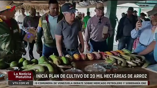 Plan de cultivo entregó en el edo. Apure semillas a productores de arroz para el impulso económico