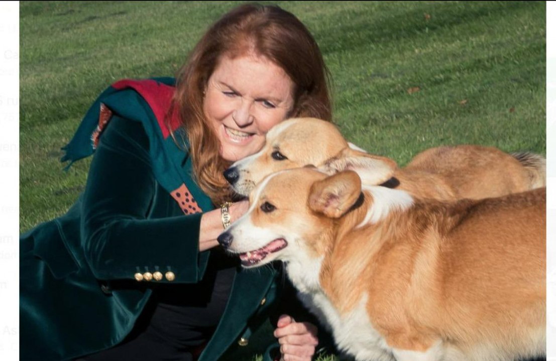 Sarah Ferguson bestreitet die Gerüchte, sie wollte in Reality-TV-Serie die Corgis der Queen klonen