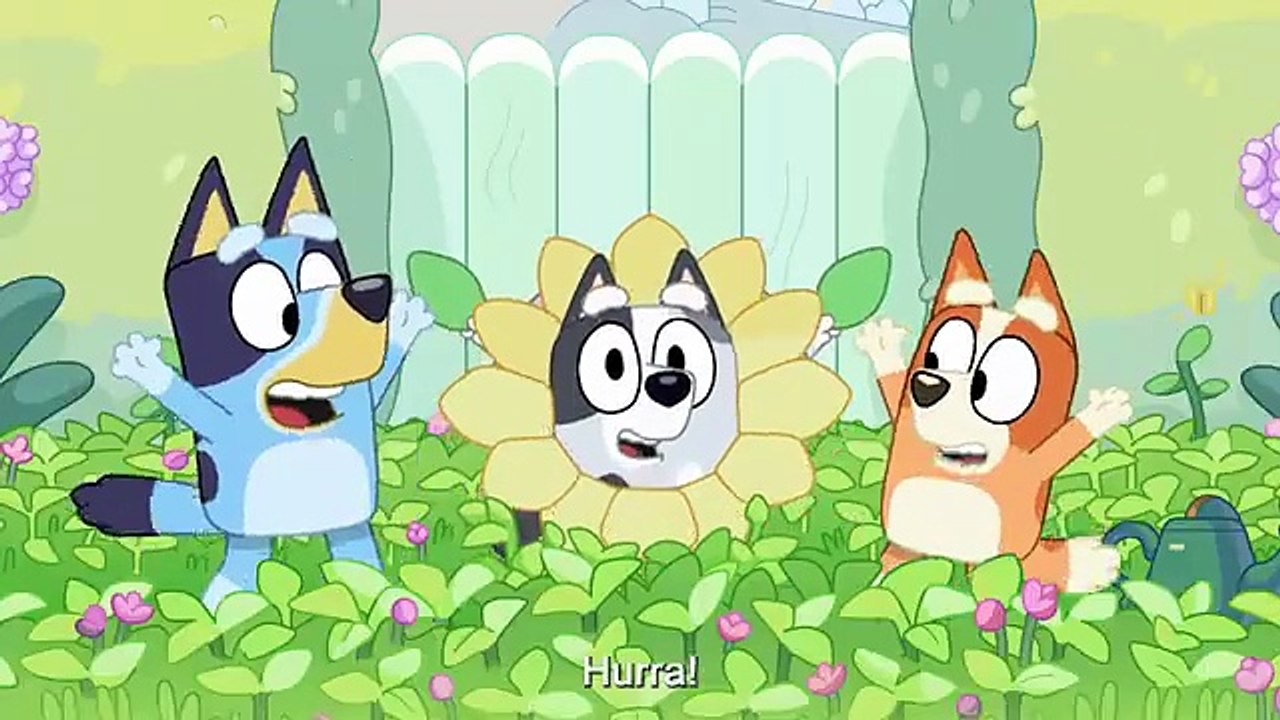 Bluey im Kino: Playdates-Kollektion - Trailer (Deutsch) HD