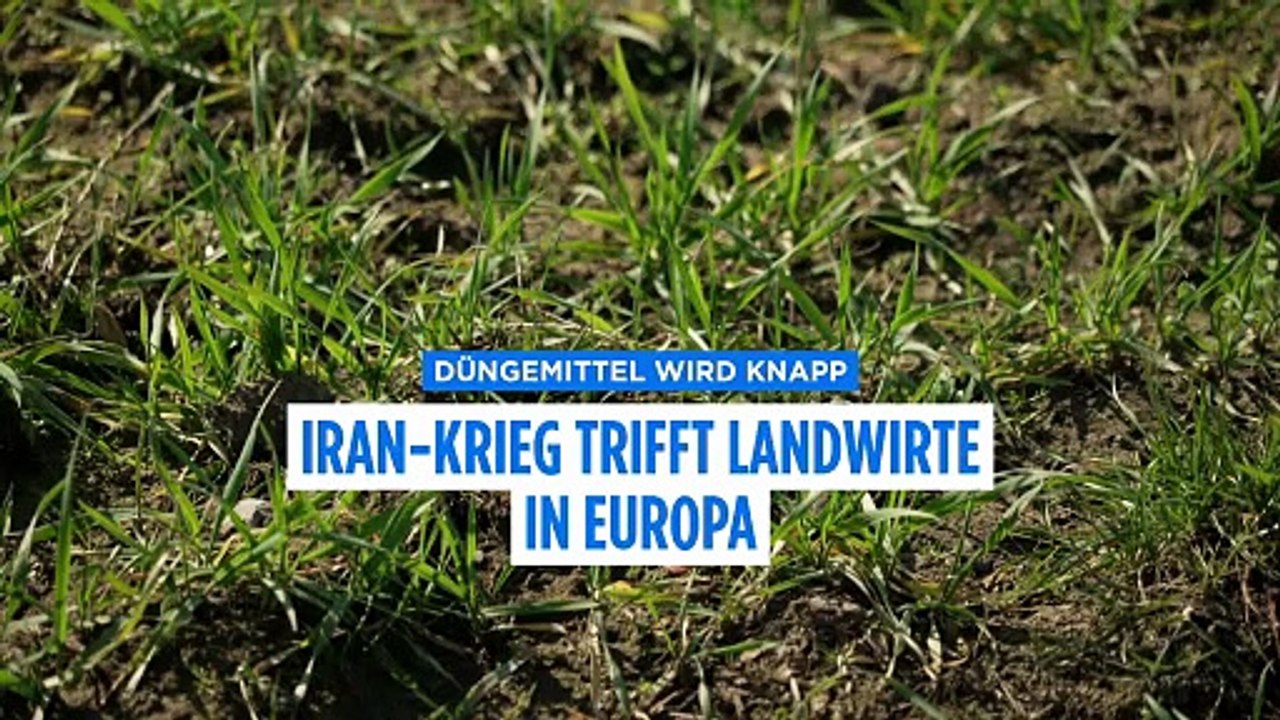Iran-Krieg verschärft Düngerkrise – Europas Abhängigkeit von Russland wächst