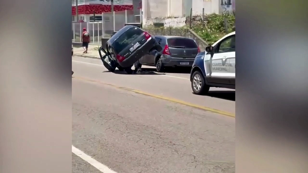 Cachorro descansa na sombra de carros que se envolveram em colisão no Paraná