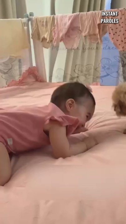 Ce chien joue avec ce bébé et lui apporte beaucoup de joie