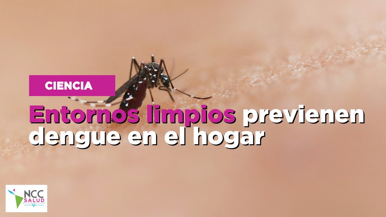 Entornos limpios previenen dengue en el hogar