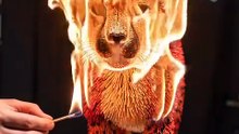 Matchstick Cheetah EXPLODES in Flames! 🔥 Insane 30,000-Stick Burn"