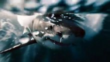 Great White Shark Breach Attack