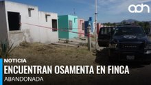 Hallan osamenta en vivienda de Lomas de la Capilla en Ixtlahuacán de los Membrillos