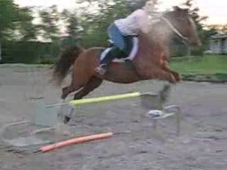 Saut dobstacle