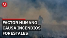 Reportan daños masivos en zonas naturales de Hidalgo por incendios