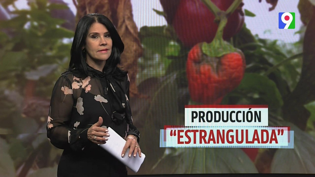 Alicia Ortega nos trae “Producción Estrangulada" | El Informe