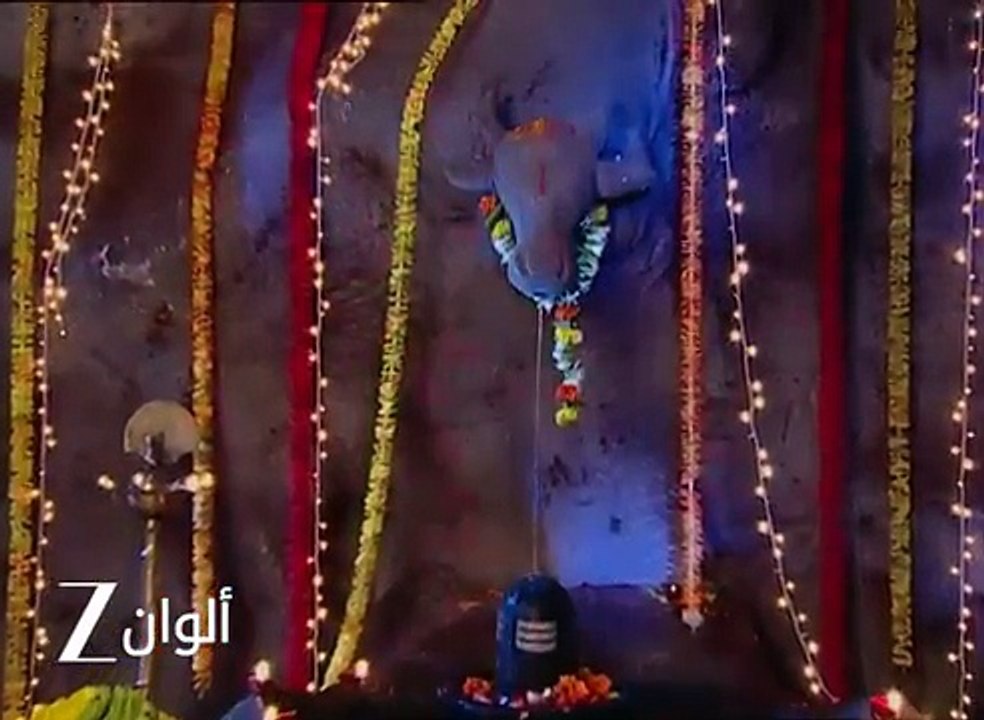 مسلسل رحلة سالوني 4 الحلقة 38 - رسالة وداع نهار الى سالوني