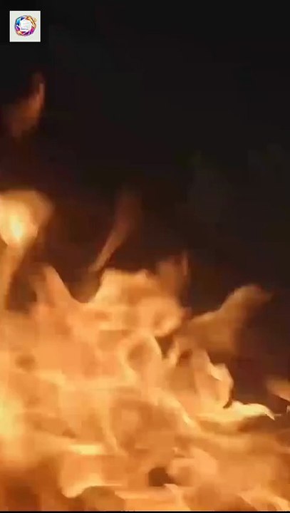 My Fake Cousin is a Hitman [Full Movie] [Vertical Drama]Full EP - Full