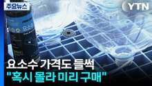 요소수 가격도 들썩... 현장에선 "혹시 몰라 미리 구매" / YTN