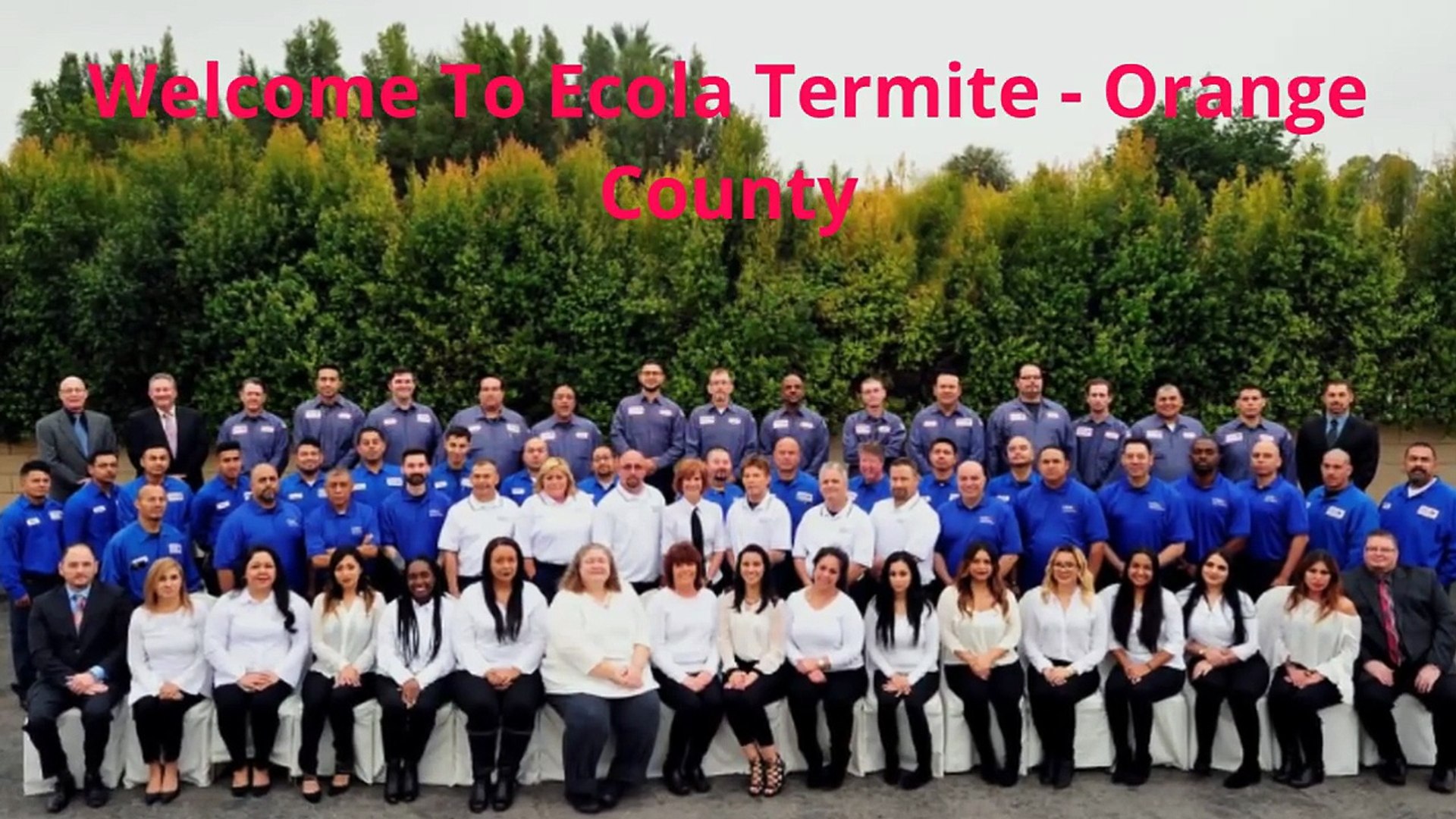 Ecola Termite - Eco Friendly Exterminators in Orange County, CA