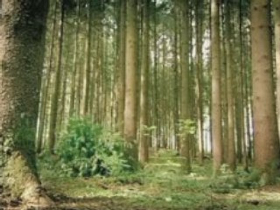 ConnectedDrive - Commercial