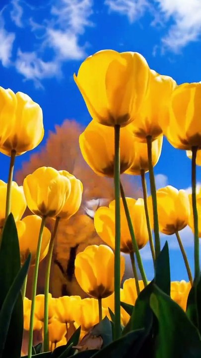 Memories from the early 2000s