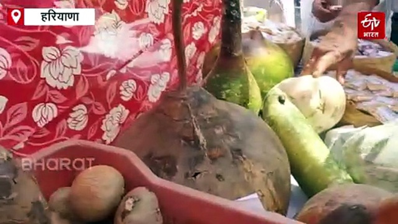 हिसार कृषि मेला: 20 किलो का पेठा, 6 फुट की घीया और गन्ने की कुल्फी बनी आकर्षण का केंद्र