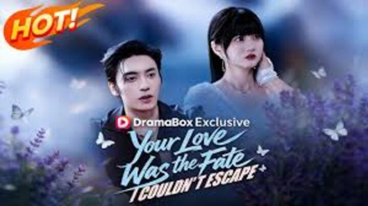 Your Love Was The Fate I Couldn't Escape – Full HD Movie