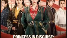 Princess In Disguise The Healer Who Saved A Dynasty - Full HD Movie [English Sub] | Watch Till The End