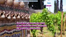 De velho a novo: projeto Pompeia revive a antiga tradição vinícola