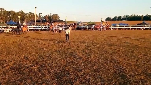 Jineteadas en pelo y en basto - Parte 3 de 3 - 19° edicion A pura tradición - Fraile Muerto 01022026 (2)