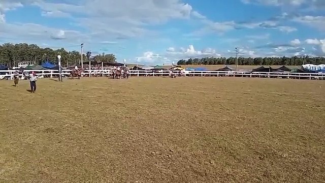Jineteadas en pelo y en basto - Parte 2 de 3 - 19° edicion A pura tradición - Fraile Muerto 01/02/2026