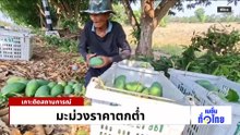 มะม่วงราคาตก เหลือกิโลละ 2 บาท  | เนชั่นทั่วไทย | 24 มี.ค. 69 | PART 2