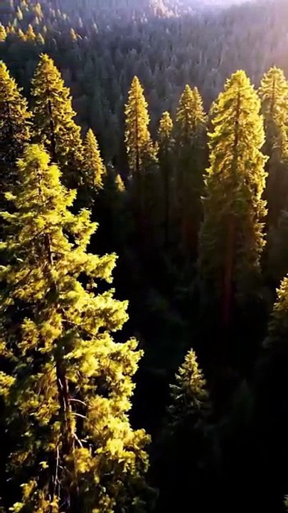 Test video don’t approve - generated from text