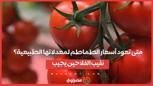 متى تعود أسعار الطماطم لمعدلاتها الطبيعية؟.. نقيب الفلاحين يجيب
