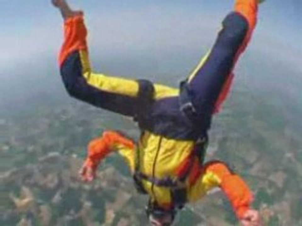 Fly Maggio