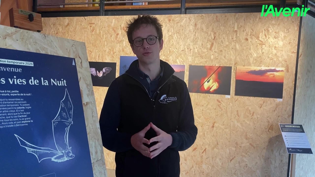 Spa : une exposition à la lampe de poche pour explorer la vie nocturne au Domaine de Bérinzenne, jusqu'en janvier 2027