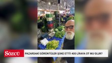 Pazardaki görüntüler şoke etti! 400 liraya ot mu olur?