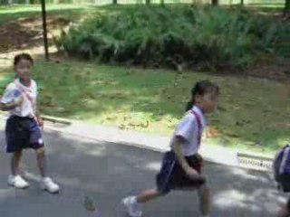 Bali pina colada project