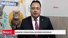 Edirne'de operasyonla 88 köpek kurtarıldı