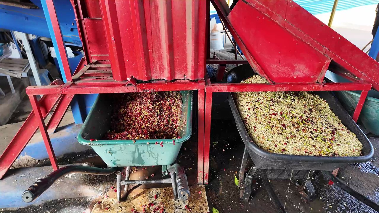 te ayudamos a procesar tu cafe