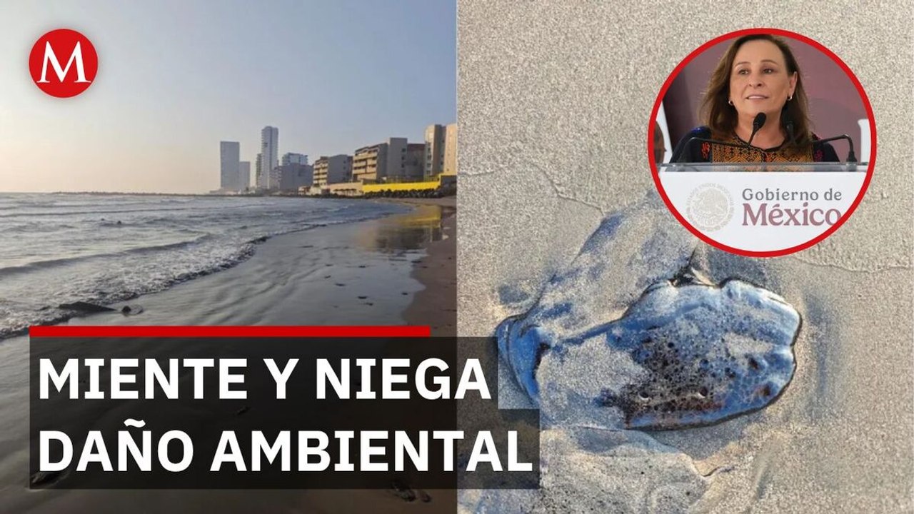 Rocío Nahle niega muerte de tortugas por derrame de crudo, Veracruz