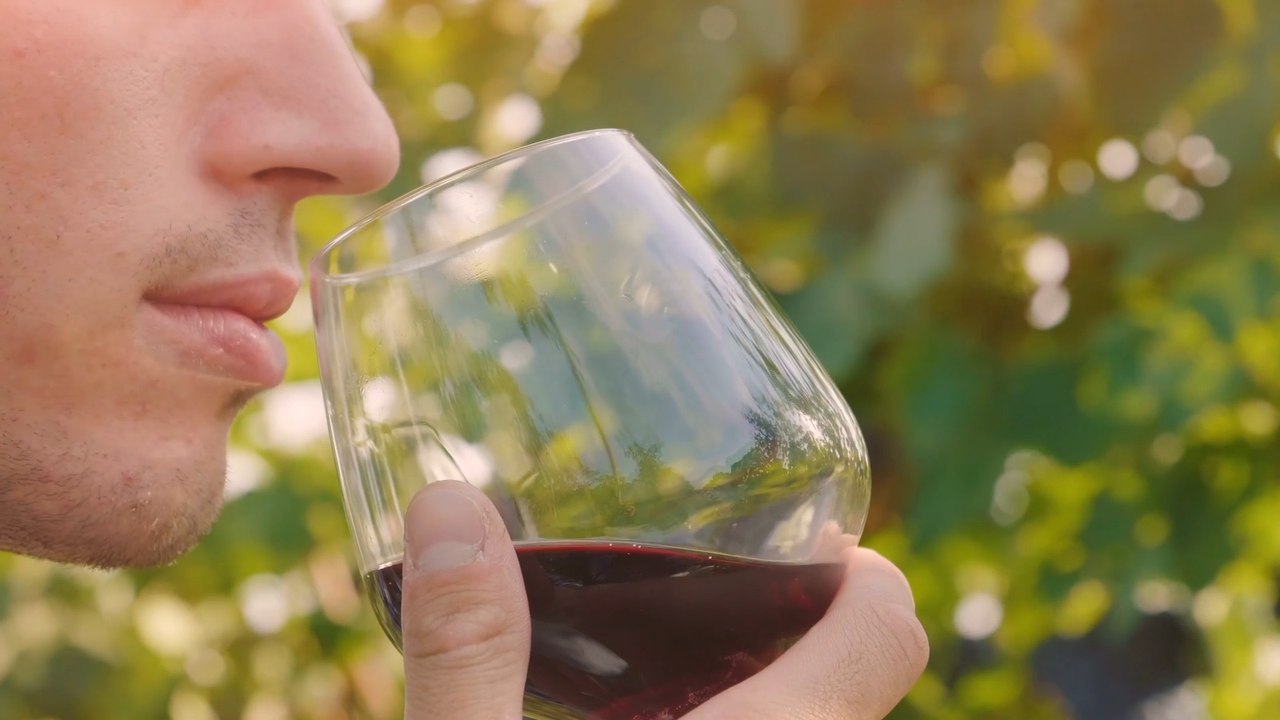 UK grape harvest jumps in 2025 with strong winemaking season reported