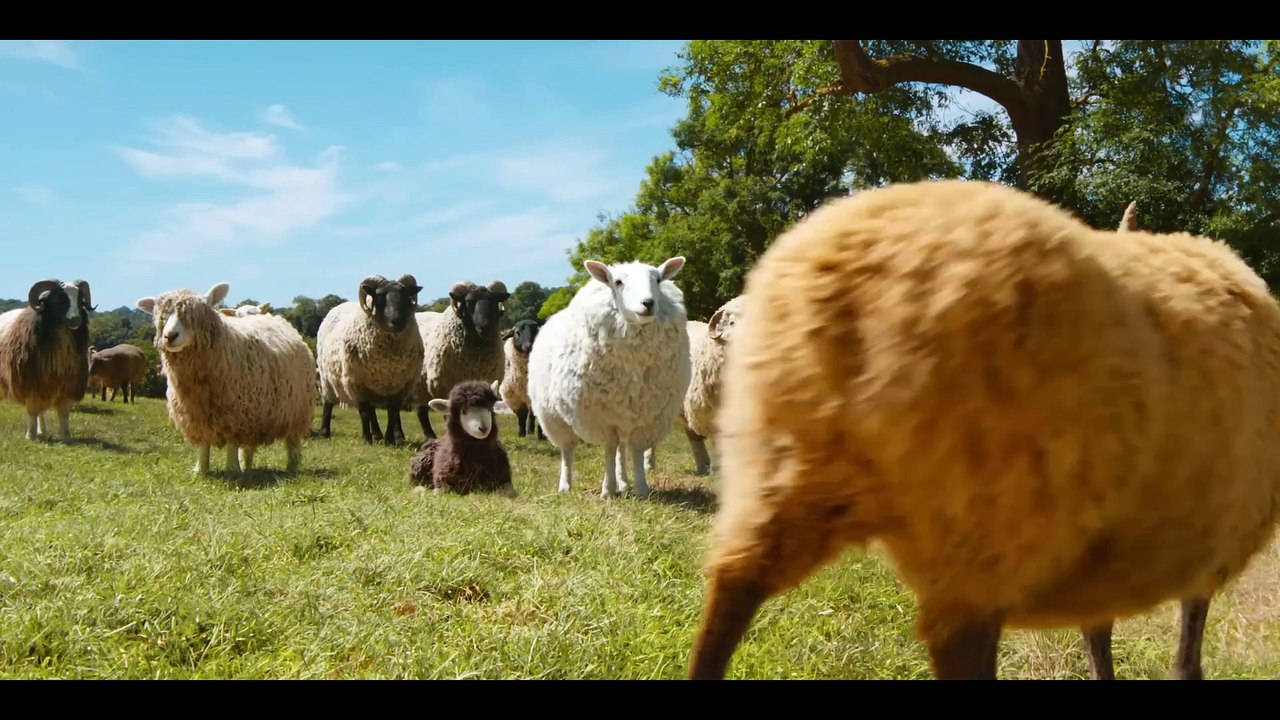The Sheep Detectives - Official Trailer #2