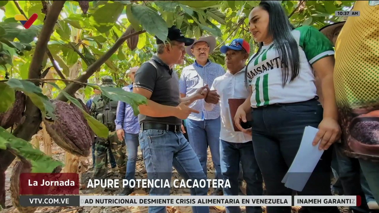 Descubre la exquisitez del cacao venezolano que conquista paladares y figura entre los mejores del mundo