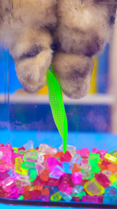 Purr-fectly Fun Gadget Unboxing | Exciting Toys Revealed!