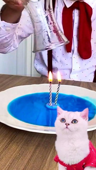 Magic Tricks Reactions: Unbelievable Reactions to Spellbinding Illusions