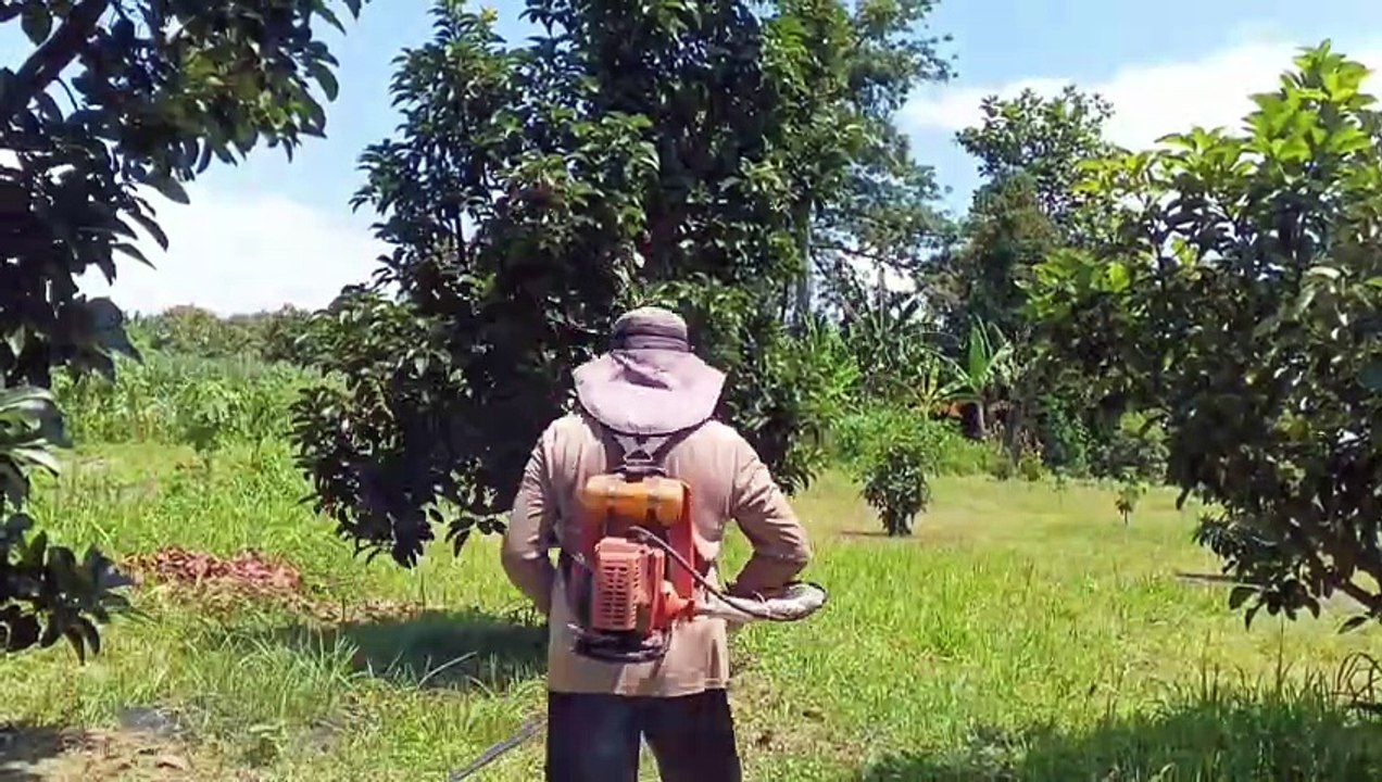 Perawatan kebun