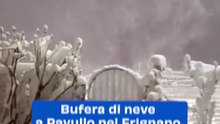 Bufera di neve a Pavullo nel Frignano, Appennino modenese
