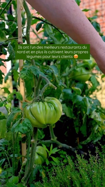 Tout est fait maison, alors si tu veux manger l’un des meilleurs welsh du nord c’est à @la_brocantine qu’il faut te rendre 🙂Et petit bonus: Tu peux même repartir avec les chaises  Pense bien à réserver 😉