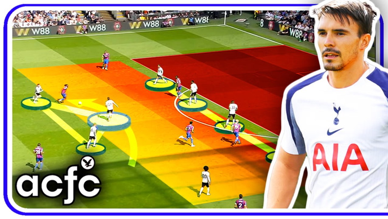 Why Thomas Frank’s Tottenham NEEDS João Palhinha