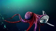 Giant Octopus vs Shark