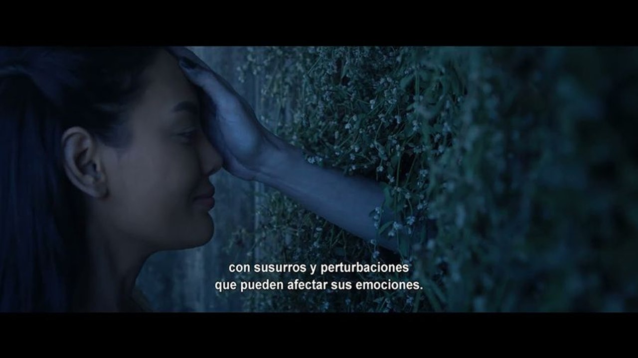 Primer Tráiler Oficial de 'La Novia del Diablo'