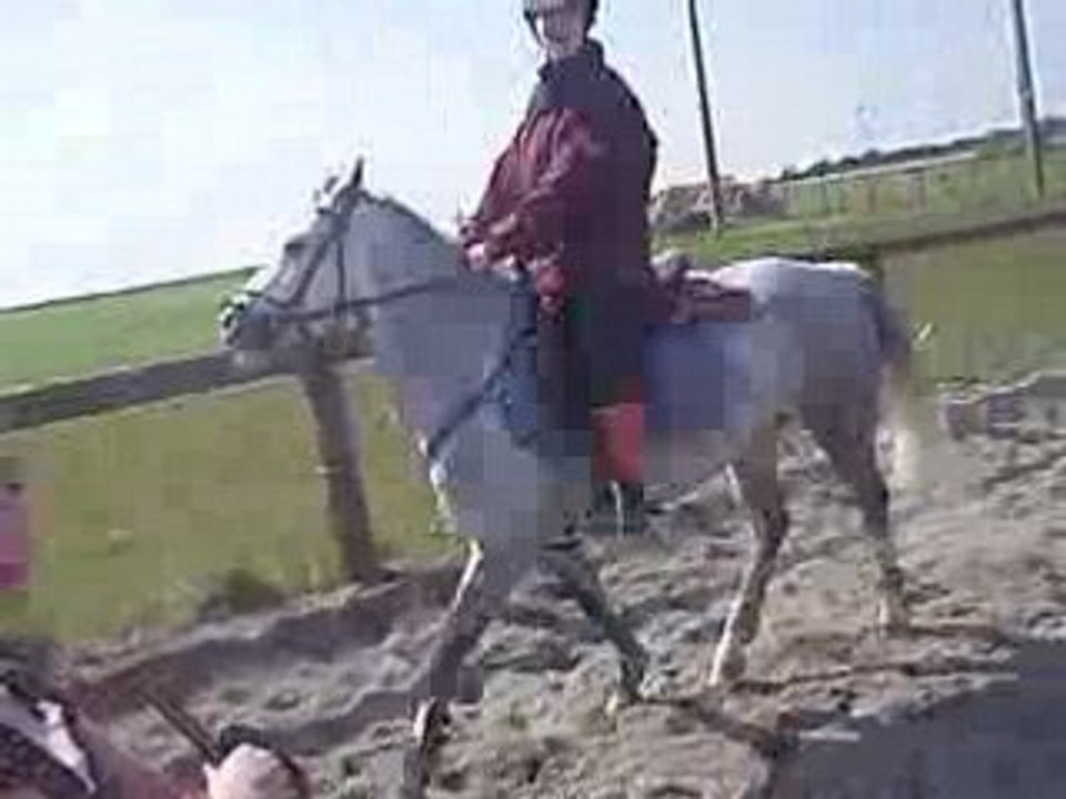 Briceet pitchoune