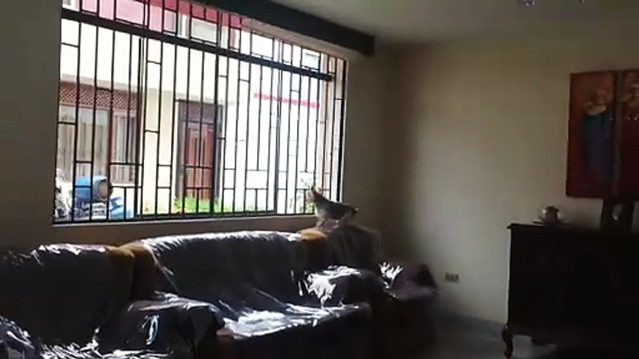 ESTADÍA EN EL PERÚ DEL 10 FEBRERO AL 12 MARZO 2026 VID_20260224_131416