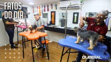 Com preços a partir de R$ 65, banho e tosa impulsionam mercado pet em Belém
